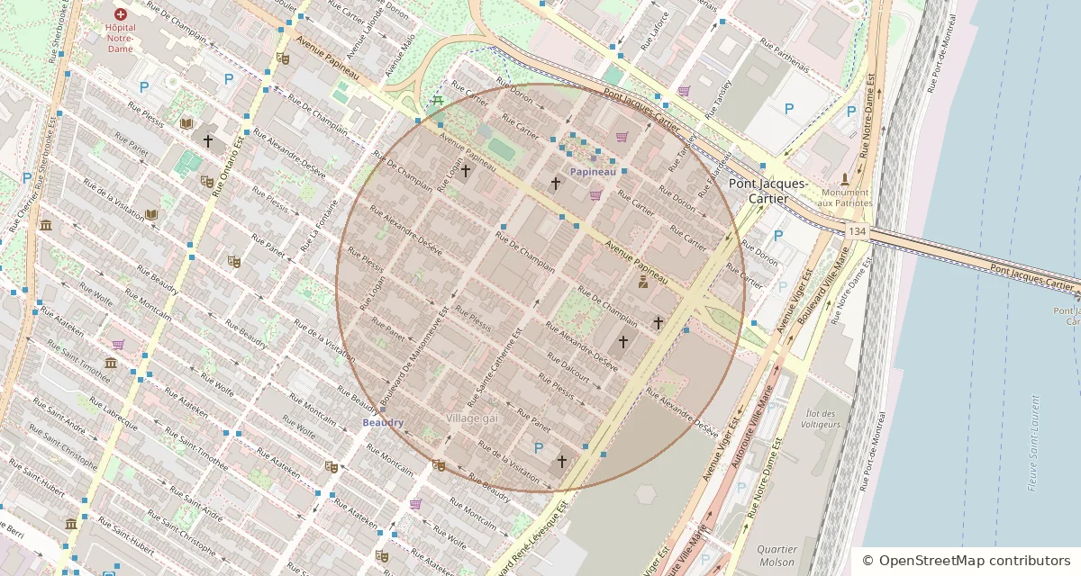 Map of the approximate area around Mia in Ville-Marie · Montréal.