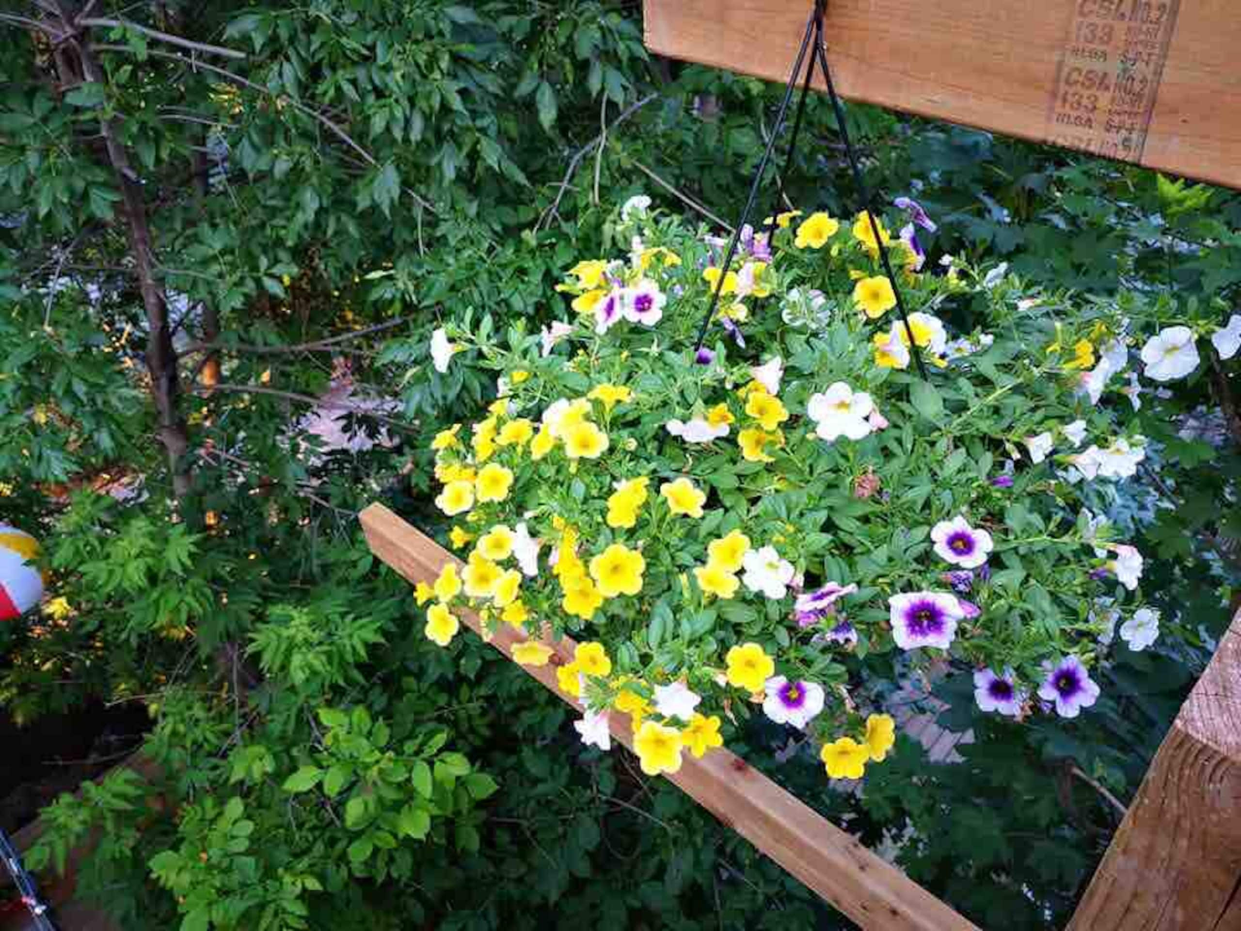 Montreal, Here i come! - Patio image 2